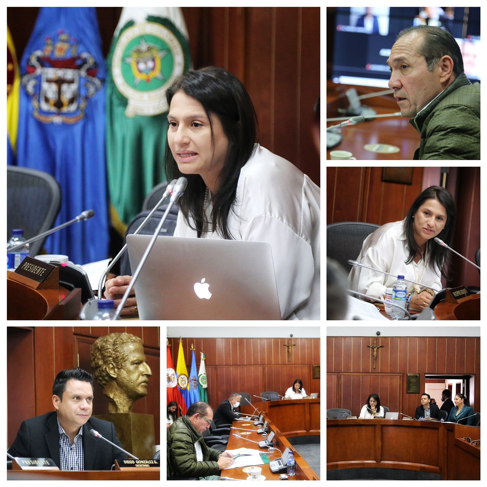 collage comision 2 