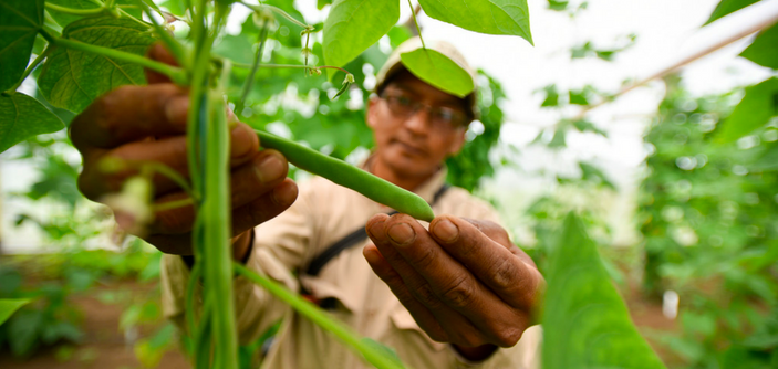 Foto: Neil Palmer (CIAT)