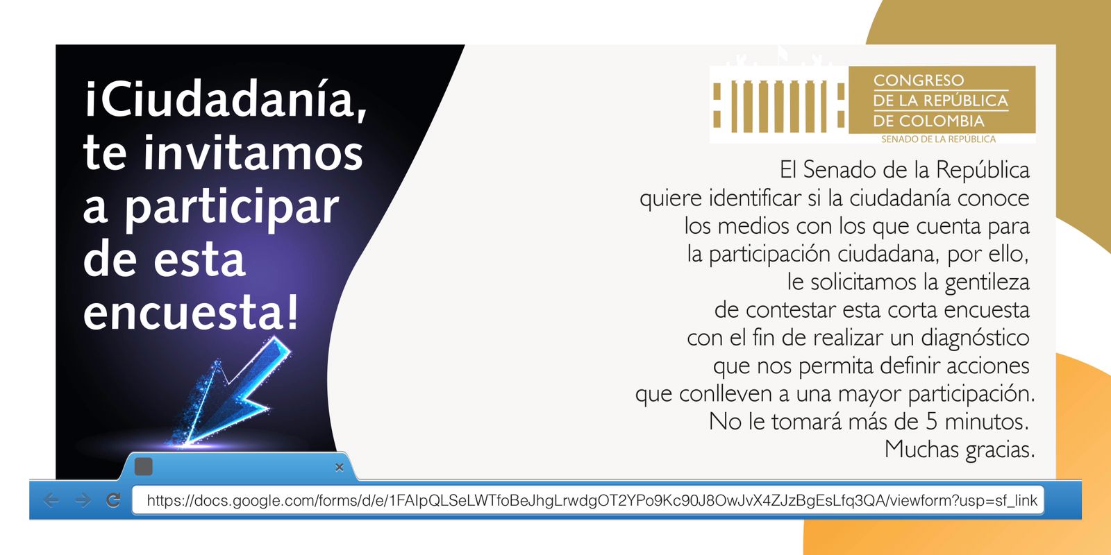 Pieza encuesta página web