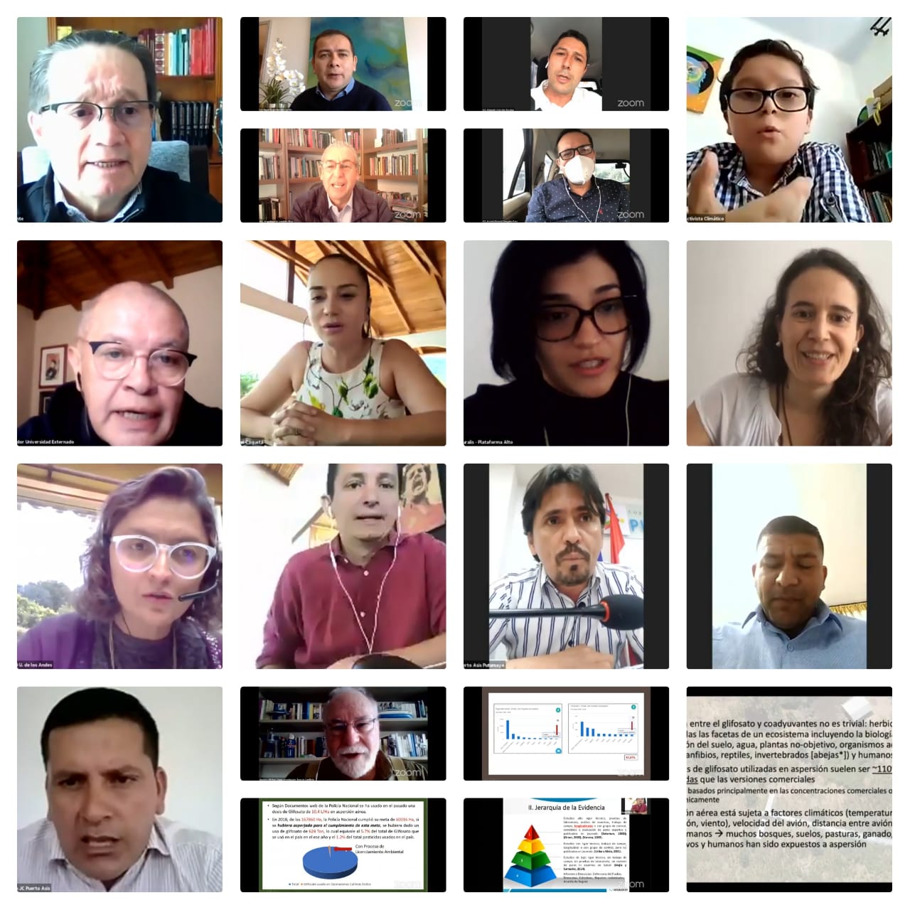 Collage fumigación