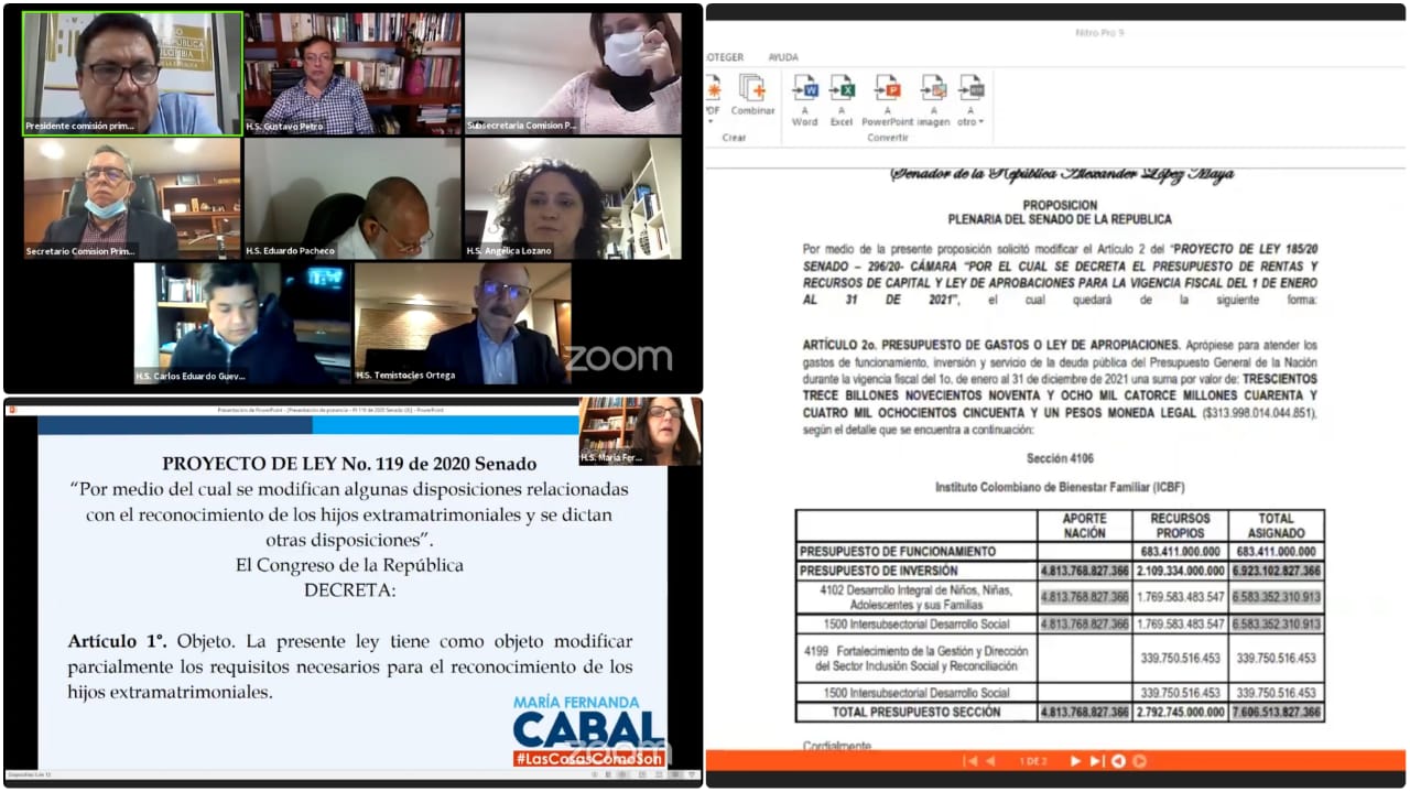 Sesión virtual de la Comisión Primera
