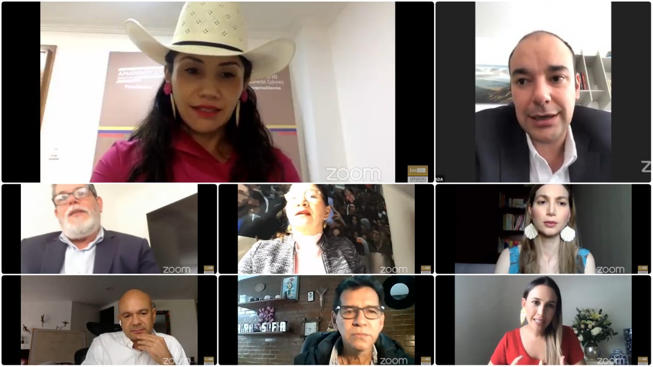 Sesión Virtual de la Comisión Sexta