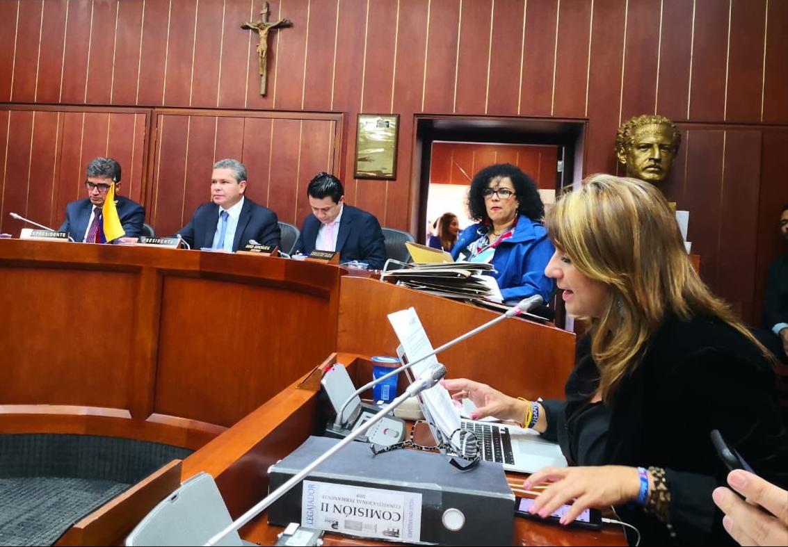 Debate en la Comisión Segunda del Senado.