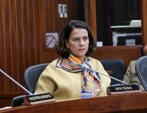Ministra del Interior, Nancy Patricia Gutiérrez, al asistir al debate de control político realizado en la Comisión Cuarta del Senado