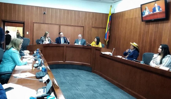 Sesión de la Comisión de Ordenamiento Territorial del Senado