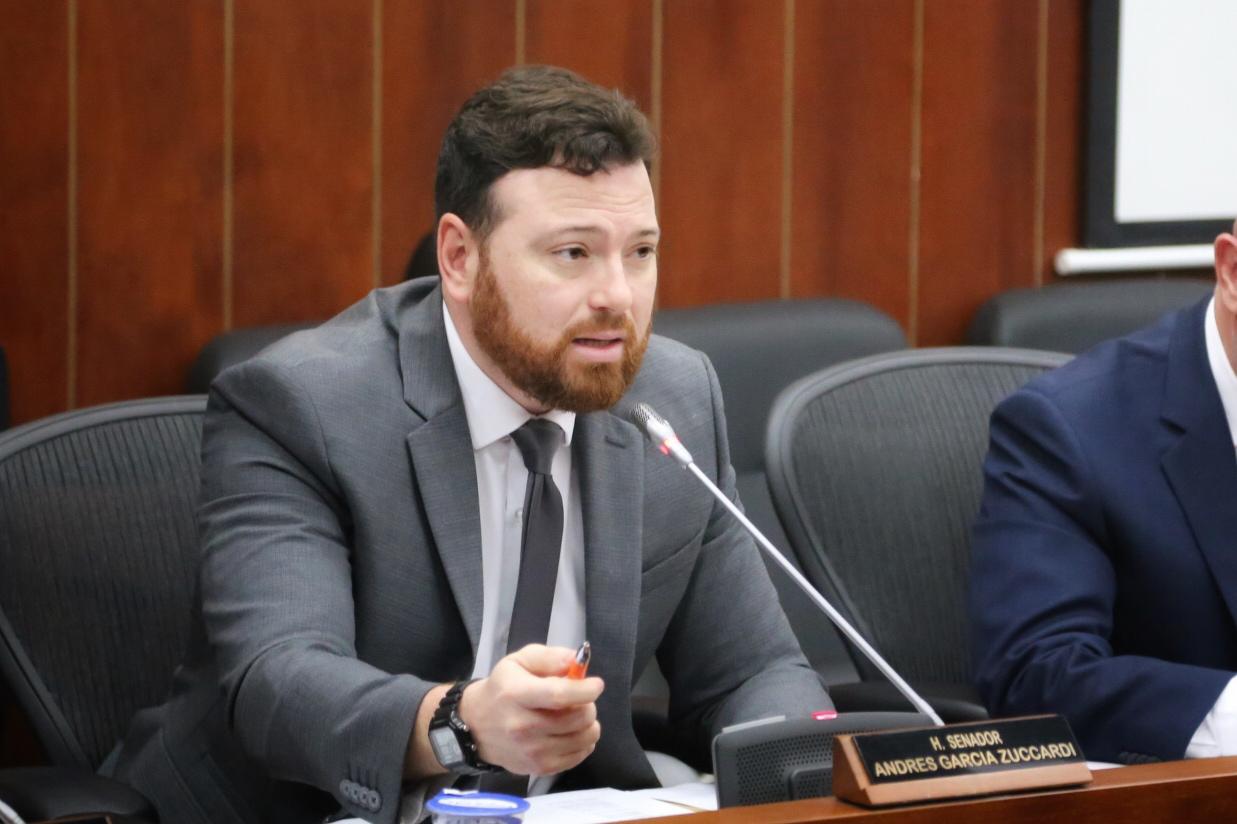 Senador Andrés García