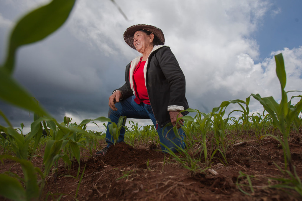 Tomada de El Campesino